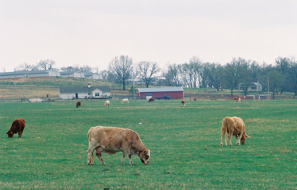 6760  Rd. East, Ilderton, Ontario  N7R 3P2 - Photo 15 - 94286480672