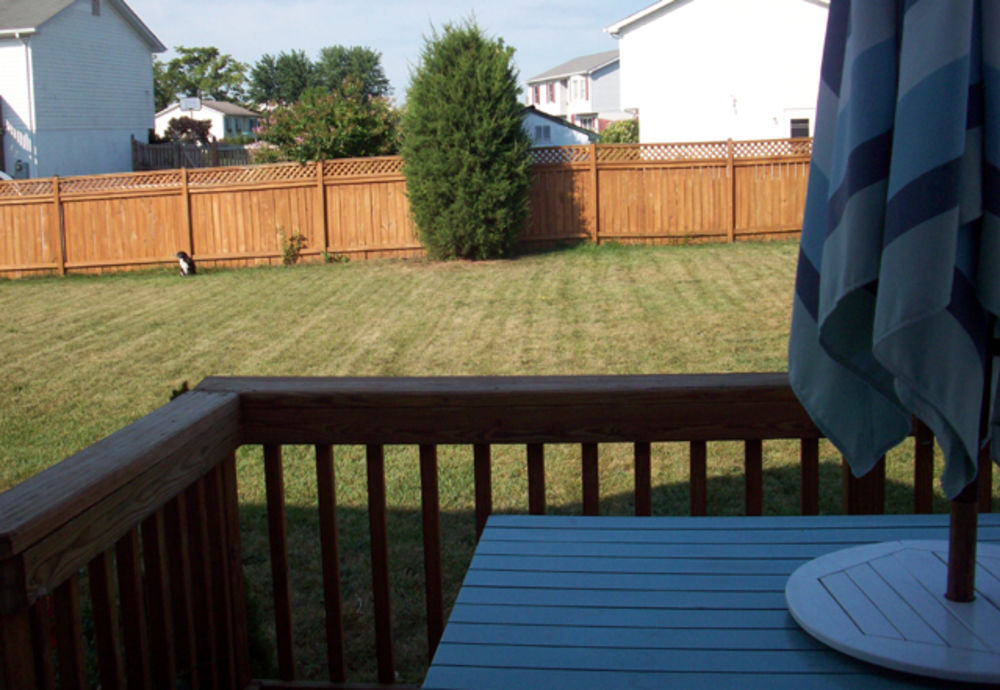 7250 Fairview Rd. E., St. Thomas, Ontario  N0X 3W6 - Photo 10 - 9428692122