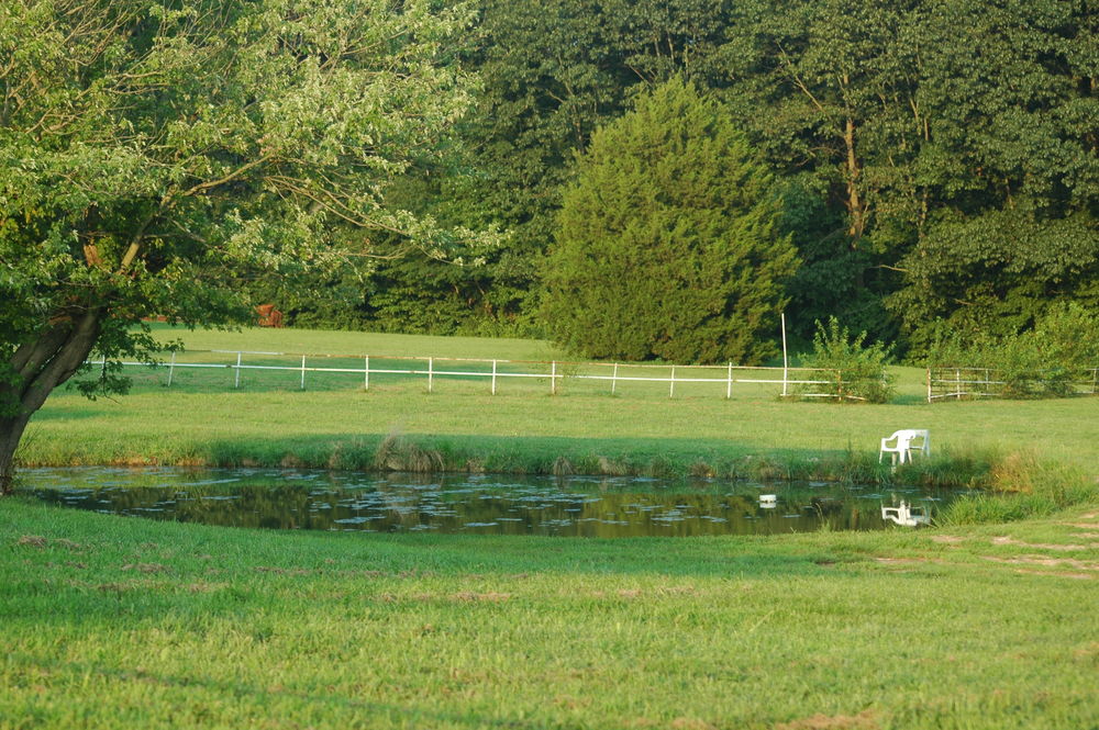 7250 Fairview Rd. E., St. Thomas, Ontario  N0X 3W6 - Photo 13 - 9428692122